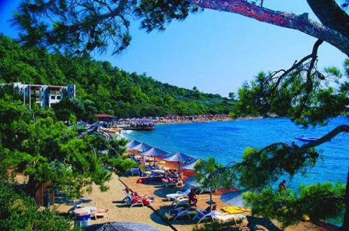 Bodrum Yalıçiftlik Rent A Car